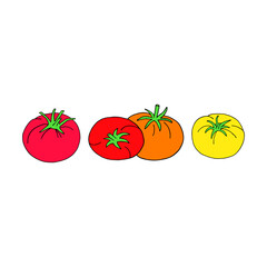 Vector illustration with tomatoes on a white background.