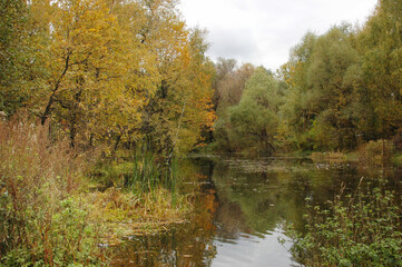 Fototapeta na wymiar Rustic pond in autumn, autumn landscape, rustic nature in autumn. Colorful autumn trees, a lake.