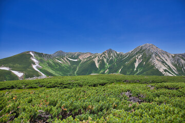 Fototapeta premium northern alps trekking, kasagatake, washibadake, suishodake, kurobegorodake 北アルプス笠ヶ岳、鷲羽岳、水晶岳、黒部五郎岳縦走登山 
