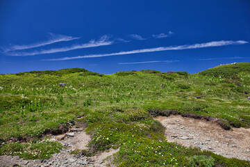 northern alps trekking, kasagatake, washibadake, suishodake, kurobegorodake  北アルプス笠ヶ岳、鷲羽岳、水晶岳、黒部五郎岳縦走登山 