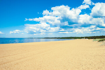 Fototapeta na wymiar Sandy shore of the Gulf of Finland on a sunny day. Baltic Sea.