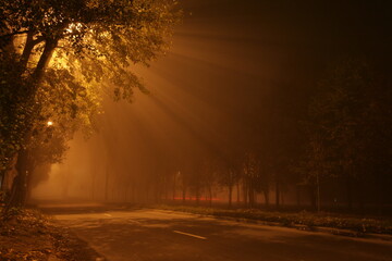 Foggy night