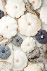 Autumn fall composition. Feminine desk table with knitted scarf and white squash pumpkin on white background. Flat lay, topview. Nordic, hygge, cozy home concept, monochrome, abstract