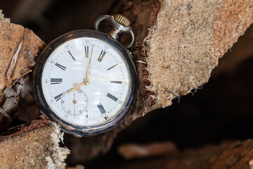 An old pocket watch lies between logs. Old pocket watches are masterpieces of craftsmanship and are...