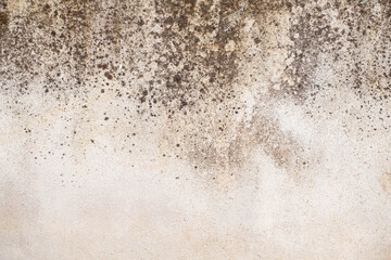 Old Concrete wall In black and white color, cement wall, broken wall, background texture