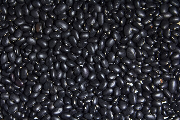 alubias negras crudos 