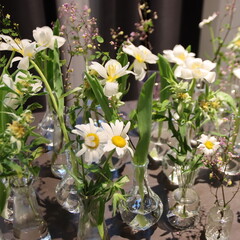 Naklejka na ściany i meble flowers in a vase