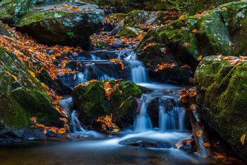 Fototapeta na wymiar Autumn Spruce Flatts Falls moss covered boulders and fallen leaves Great Smoky Mountains