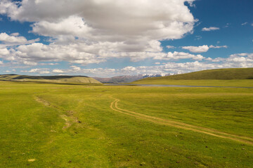 Obraz premium Grassland with blue sky and white clouds. Photo in Bayinbuluke Grassland in Xinjiang, China.
