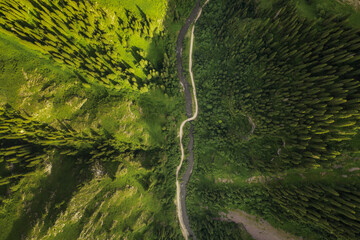 Mountains and forest In an aerial view.