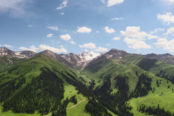 Fototapeta premium Nalati grassland with the blue sky.