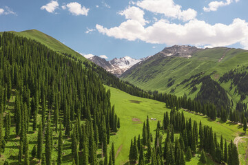 Nalati grassland with the blue sky.