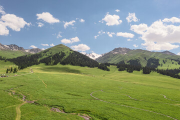 Obraz premium Nalati grassland with the blue sky.