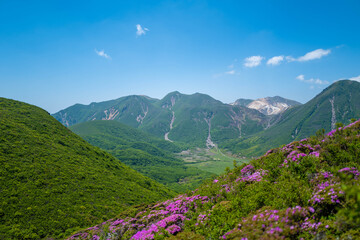 大分県の平治岳、大船山の登山道 Trail of Mt.Heijidake and Mt.Taisenzan in Oita Prefecture