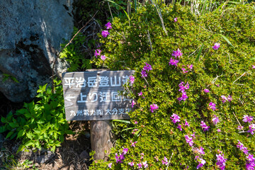 大分県の平治岳、大船山の登山道 Trail of Mt.Heijidake and Mt.Taisenzan in Oita Prefecture