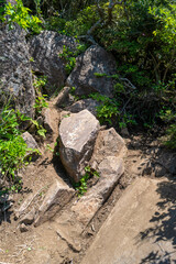 大分県の平治岳、大船山の登山道 Trail of Mt.Heijidake and Mt.Taisenzan in Oita Prefecture