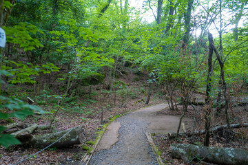 大分県の平治岳、大船山の登山道 Trail of Mt.Heijidake and Mt.Taisenzan in Oita Prefecture
