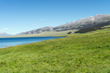 Lake and grassland with a sunny day. Shot in Sayram Lake in Xinjiang, China.