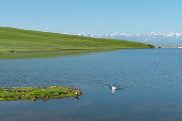 Winding rivers and meadows. Photo in Bayinbuluke Grassland in Xinjiang, China.