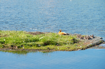 Winding rivers and meadows. Photo in Bayinbuluke Grassland in Xinjiang, China.