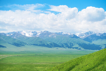 Fototapeta premium Nalati grassland with the blue sky.