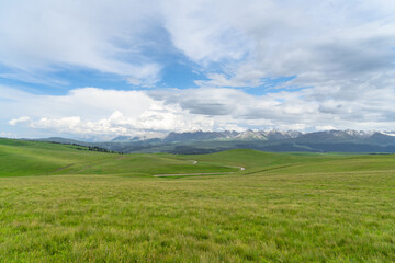 Grassland and mountains in a sunny day. Photo in Kalajun grassland in Xinjiang, China.