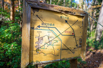 静岡県の天城山の紅葉の季節の登山道 Mt. Amagi Mountain Trail in Shizuoka Prefecture during the Fall Foliage Season