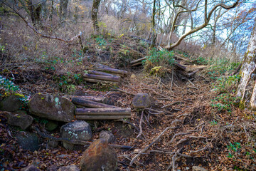 静岡県の天城山の紅葉の季節の登山道 Mt. Amagi Mountain Trail in Shizuoka Prefecture during the Fall Foliage Season