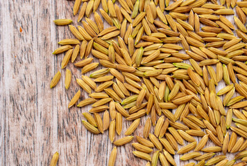 Close up paddy rice on wooden background.Top view of paddy rice and rice seed on the white background, Background and wallpaper by pile of paddy rice seed, Close-up of brown rice grain.