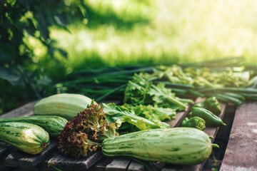 Freshly picked vegetables lie on wooden pallet