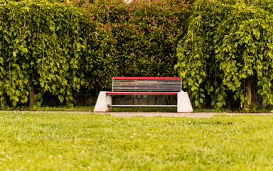 park bench green woods red flowers