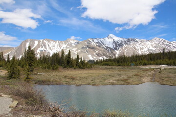 Run Off In The Highlands, Jasper National Park, Alberta