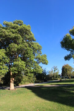 Landcox Park, Brighton, Melbourne, Victoria, Australia