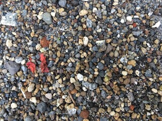 stones on the beach