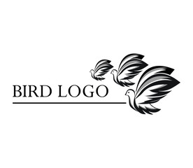 three flying birds logo design, suitable for companies, logo vector template