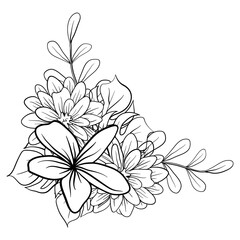 Beautiful Foliage Floral Frame Text Divider with elegant floral and leaves in Monochrome  illustration. 