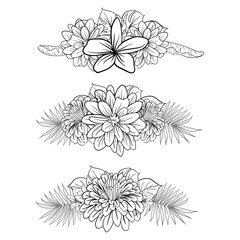 Beautiful Foliage Floral Frame Text Divider with elegant floral and leaves in Monochrome  illustration. 