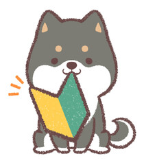 Fototapeta premium 初心者マークと黒柴犬