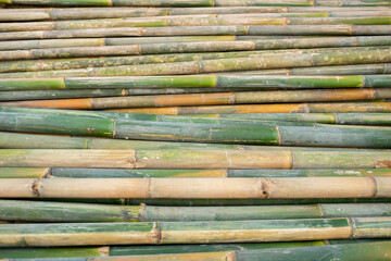 Pile of green bamboo pieces