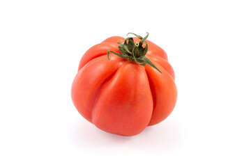 Tomate rojo fondo blanco