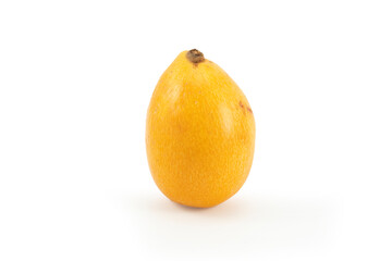 Níspero fondo blanco