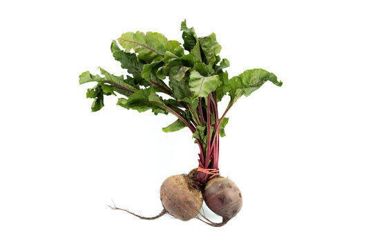 Remolacha aislada