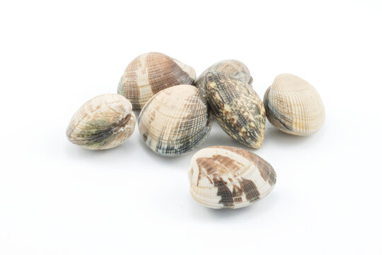 Almejas aisladas