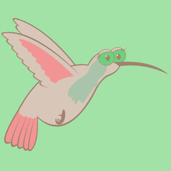 Hummingbird Cartoon Illustration