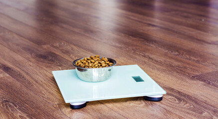 Dry Dog Food on Weigh Scale .Animals Dieting Concept  - obrazy, fototapety, plakaty