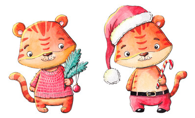 New Year, the year of the tiger, funny tiger cubs