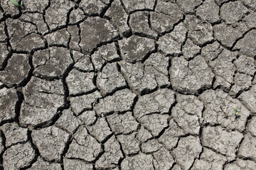 The ground cracks in very hot and windy weather. The more dry the soil layer, the deeper the cracks in the soil.