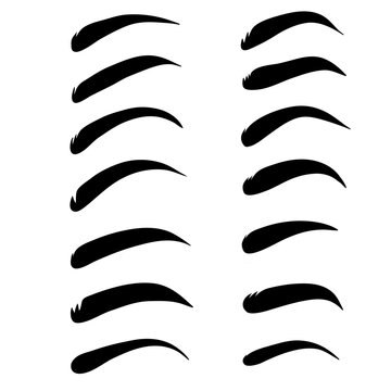 Set of realistic woman eyebrows for design on white