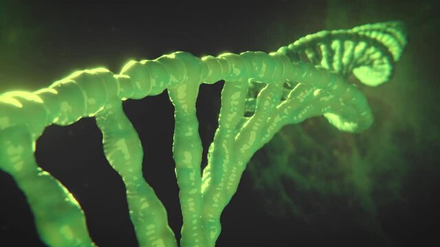 Doppel Helix - Animierte Helix (Loop) - Thema Genetik oder Klonen