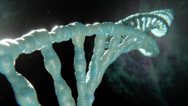 DNA Doppel Helix Spirale: Konzept Evolution, Klonen oder Genmanipulation